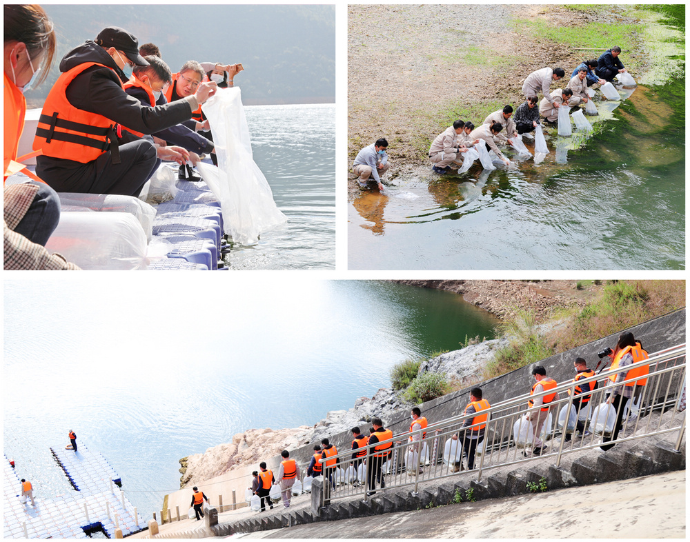 1635412007636052.jpg 放流拼圖33.jpg